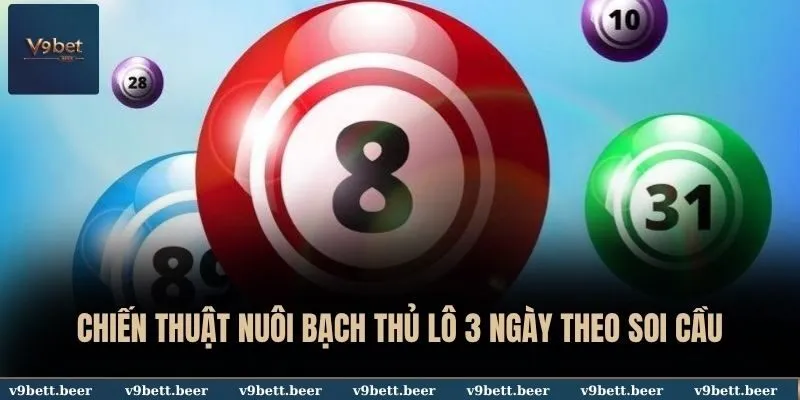 Chiến thuật nuôi bạch thủ lô 3 ngày theo soi cầu